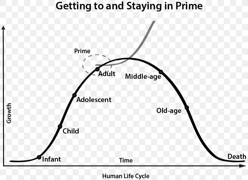 Biological Life Cycle Human Development Homo Sapiens Human Body Curve, PNG, 811x596px, Watercolor, Cartoon, Flower, Frame, Heart Download Free