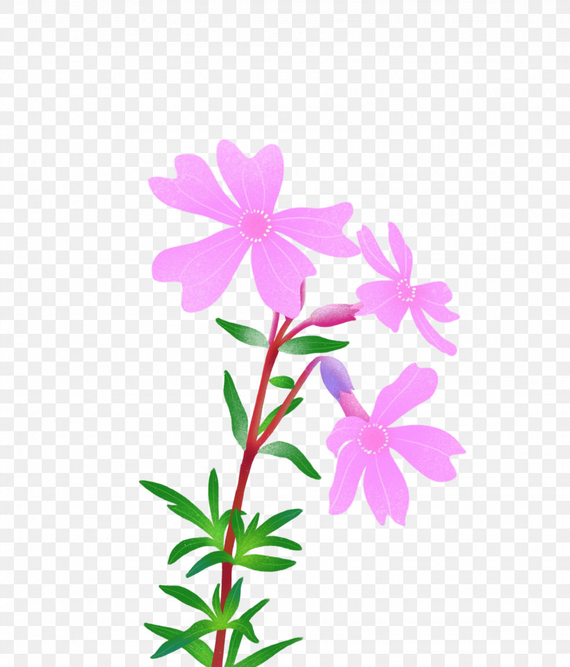 Floral Design, PNG, 1536x1798px, Mallows, Cut Flowers, Floral Design, Flower, Herbaceous Plant Download Free