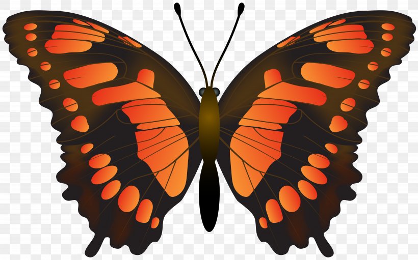 Monarch Butterfly Clip Art, PNG, 7000x4370px, Butterfly, Art, Art Museum, Arthropod, Blue Download Free