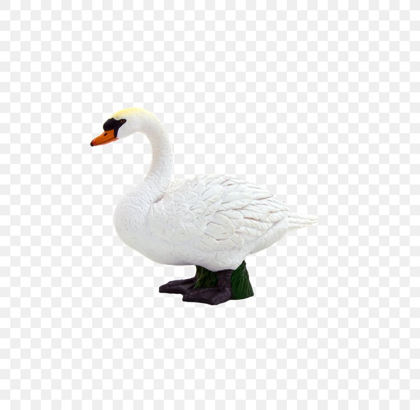 Mute Swan Goose Duck Pony Cygnini, PNG, 800x800px, Mute Swan, Animal, Beak, Bird, Child Download Free