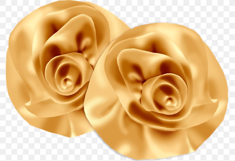 PhotoScape Praline Blog Close-up, PNG, 780x562px, Photoscape, Blog, Closeup, Ear, Flower Download Free