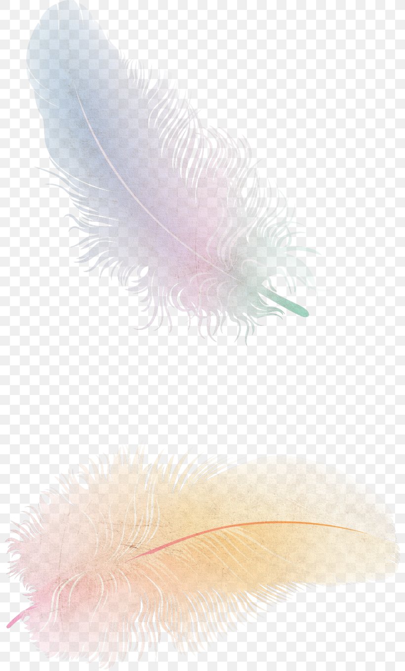 Transparency Desktop Wallpaper Clip Art Image, PNG, 800x1359px, Feather, Drawing, Eyelash, Fashion Accessory, Fur Download Free