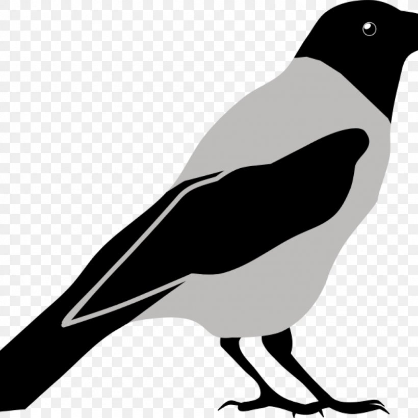 Clip Art Vector Graphics Crow Image, PNG, 1024x1024px, Crow, Beak, Bird, Black And White, Cartoon Download Free