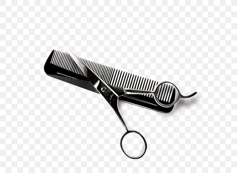 Comb Hairdresser Hairstyle Scissors Beauty Parlour, PNG, 600x600px, Comb, Beauty Parlour, Capelli, Cosmetology, Fashion Designer Download Free