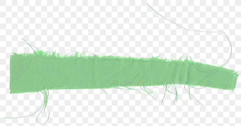 Grasses Line, PNG, 1532x803px, Grasses, Family, Grass, Grass Family, Green Download Free