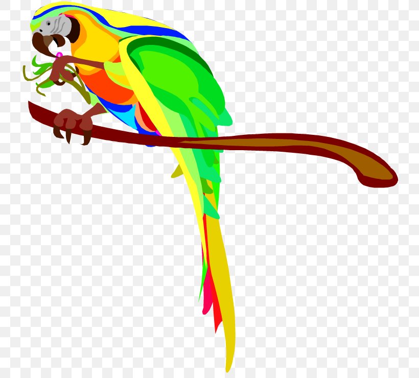 Parrot Bird Macaw Clip Art, PNG, 750x740px, Parrot, Animal Figure, Artwork, Beak, Bird Download Free