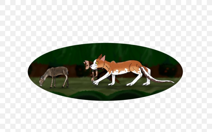 Canidae Dog Mammal Wildlife, PNG, 1024x640px, Canidae, Carnivoran, Dog, Dog Like Mammal, Grass Download Free