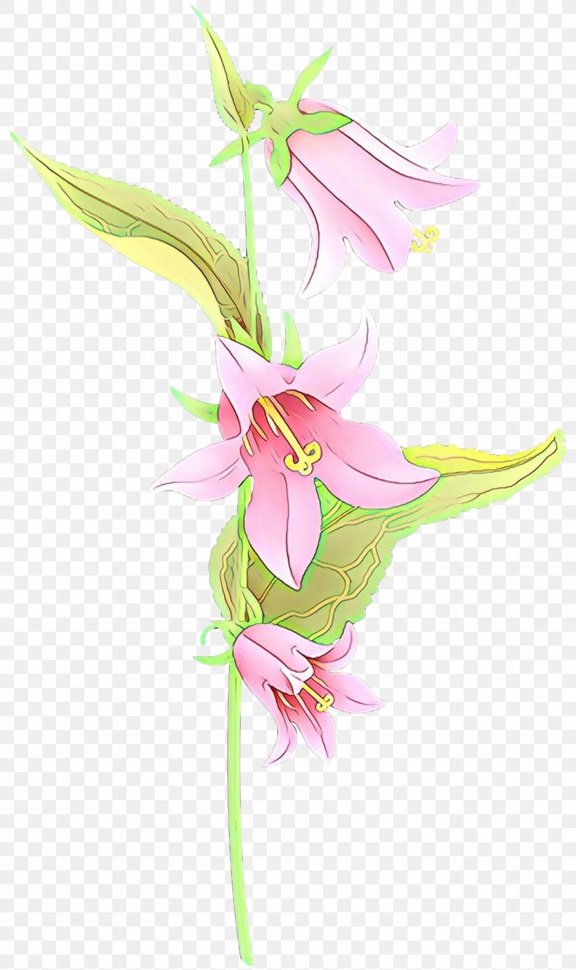 Flower Plant Pink Pedicel Lily, PNG, 1779x3000px, Cartoon, Cut Flowers, Flower, Lily, Lily Family Download Free