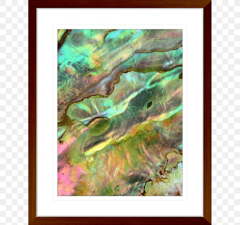 Haliotis Iris Oyster Mussel Pāua Clam, PNG, 768x768px, Oyster, Abalone, Art, Clam, Iridescence Download Free