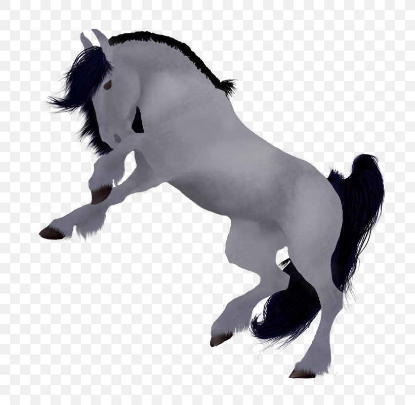 Mane Mustang Stallion Pony Halter, PNG, 800x800px, Mane, Animal Figure, Black And White, Character, Fiction Download Free