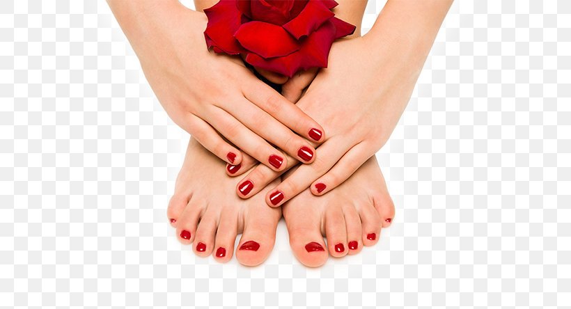 Pedicure Manicure Nail Salon Day Spa Exfoliation, PNG, 569x444px, Pedicure, Artificial Nails, Beauty Parlour, Cuticle, Day Spa Download Free