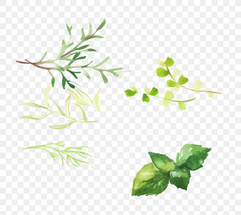 Hand Painted Grass, PNG, 2522x2256px, Paint, Branch, Flora, Floral Design, Flower Download Free