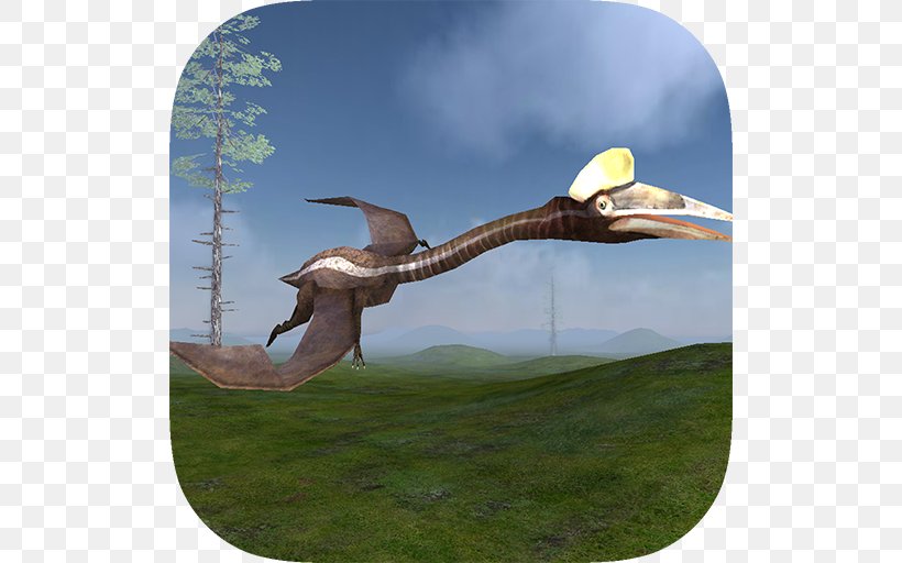 Pterosaur Flight Simulator 3D Bottle Shoot Game Ultimate Jungle Simulator Ultimate Savanna Simulator, PNG, 512x512px, Pterosaur Flight Simulator 3d, Albatross, Android, Beak, Bird Download Free