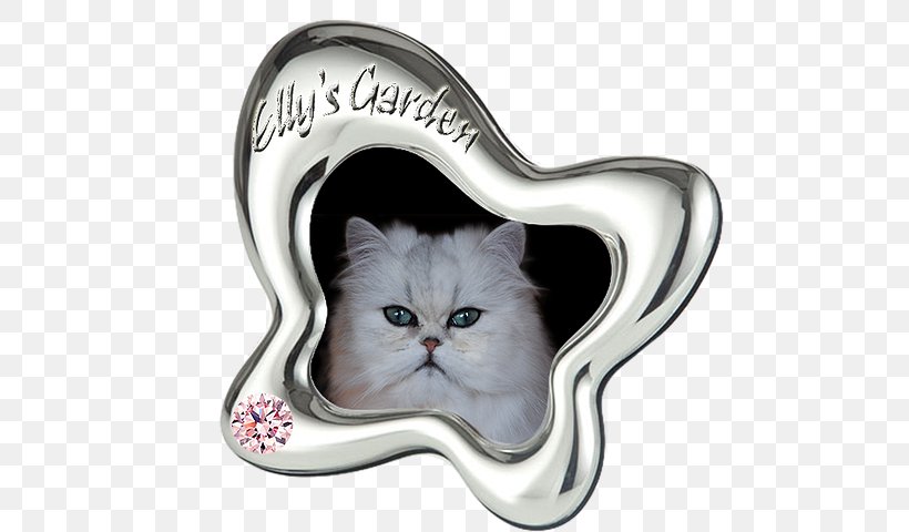 Whiskers Kitten Body Jewellery Silver, PNG, 631x480px, Whiskers, Body Jewellery, Body Jewelry, Carnivoran, Cat Download Free