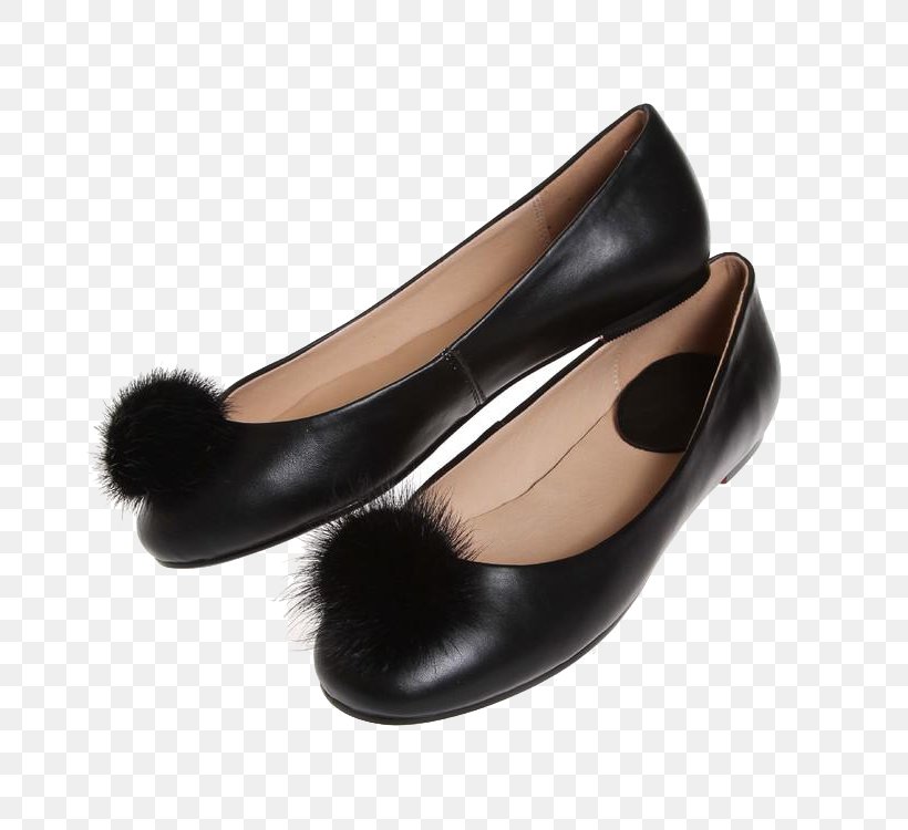 Ballet Flat Ballet Shoe Fashion, PNG, 750x750px, Ballet Flat, Ballet, Ballet Shoe, Big Hit, Color Download Free