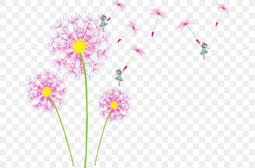 IPhone 4S Dandelion Clip Art, PNG, 658x541px, Iphone 4s, Blossom, Dahlia, Dandelion, Digital Image Download Free