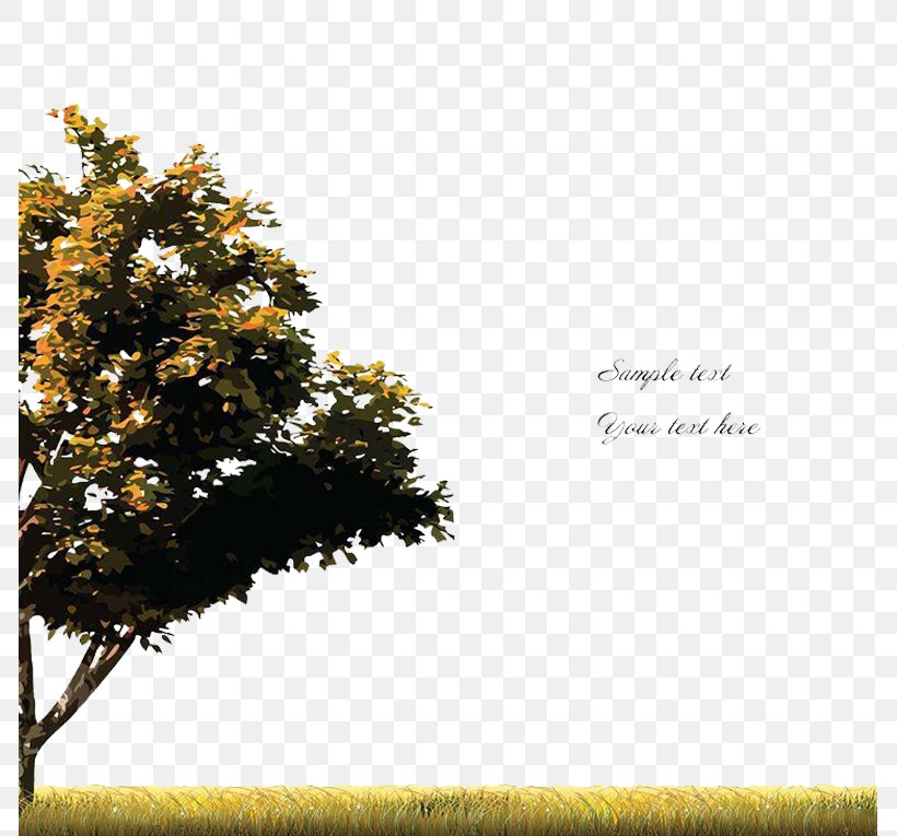Tree Royalty-free Clip Art, PNG, 785x765px, Tree, Border, Branch, Can Stock Photo, Drawing Download Free