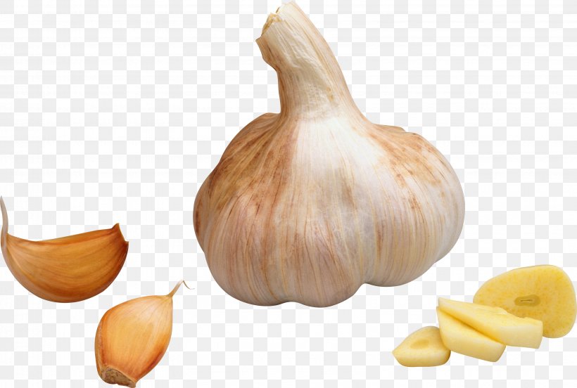 Garlic Vegetable Icon, PNG, 3191x2151px, Garlic, Condiment, Dish, Flavor, Food Download Free