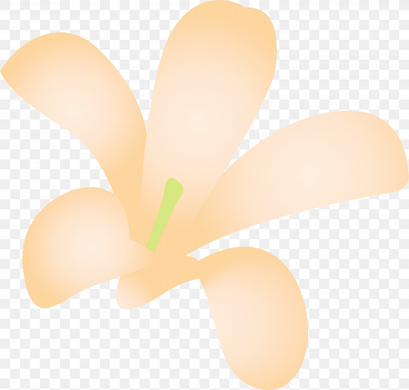 Jasmine Jasmine Flower, PNG, 3000x2868px, Jasmine, Closeup, Jasmine Flower, Lighting Download Free