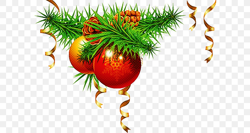 Christmas Ornament, PNG, 598x439px, Fir, Branch, Christmas, Christmas Decoration, Christmas Eve Download Free