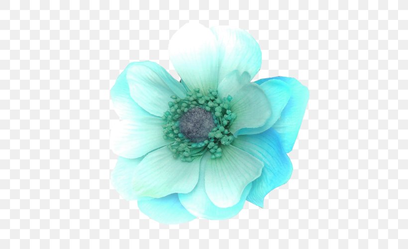 Flower Bouquet Turquoise Color Petal, PNG, 500x500px, Flower, Anemone, Blue, Color, Flower Bouquet Download Free