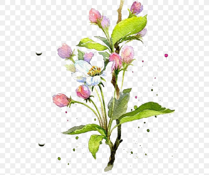 Flower Watercolor Painting Floral Design, PNG, 600x686px, Watercolor Painting, Blossom, Branch, Concepteur, Designer Download Free