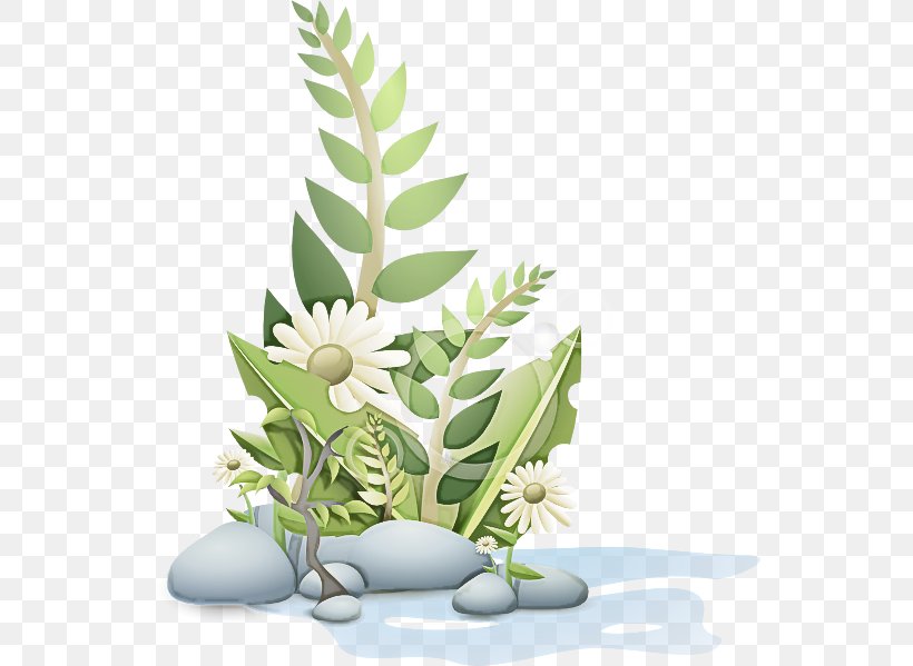 Flowerpot Leaf Plant Houseplant Flower, PNG, 546x599px, Flowerpot, Flower, Grass, Herb, Houseplant Download Free
