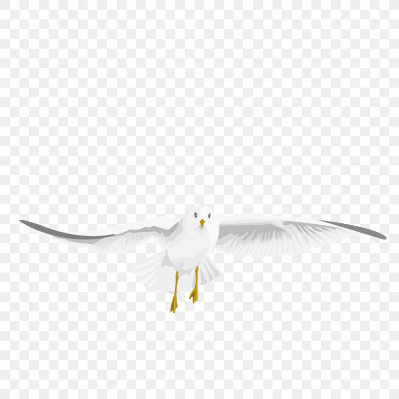 Water Bird Beak Wing Feather, PNG, 1500x1500px, Bird, Animal, Beak, Cartoon, Feather Download Free