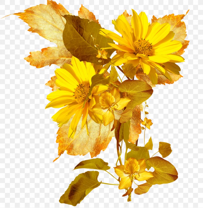 Cut Flowers Petal Flower Bouquet Wildflower, PNG, 1248x1280px, Flower, Cut Flowers, Daisy Family, Email, Flower Bouquet Download Free