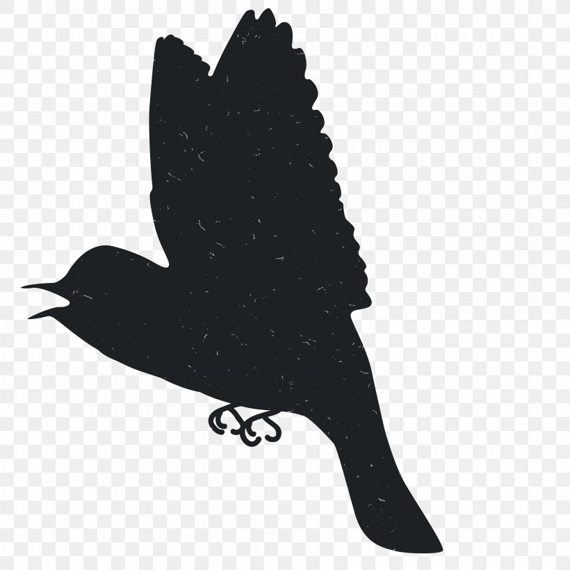 Silhouette Animal Black And White, PNG, 3600x3600px, Silhouette, Animal, Beak, Bird, Black Download Free