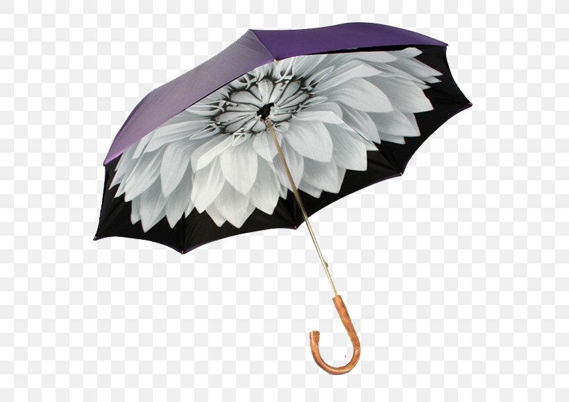 Umbrella Auringonvarjo Raincoat Fashion Accessory, PNG, 580x580px, Umbrella, Art, Auringonvarjo, Brand, Canopy Download Free
