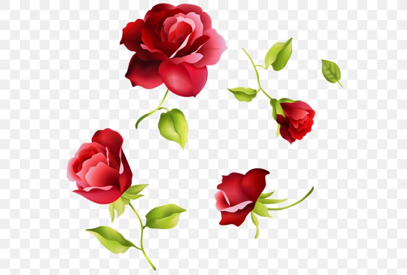 Vector Graphics Image Beach Rose Clip Art, PNG, 600x553px, Beach Rose, Annual Plant, Bud, China Rose, Cut Flowers Download Free