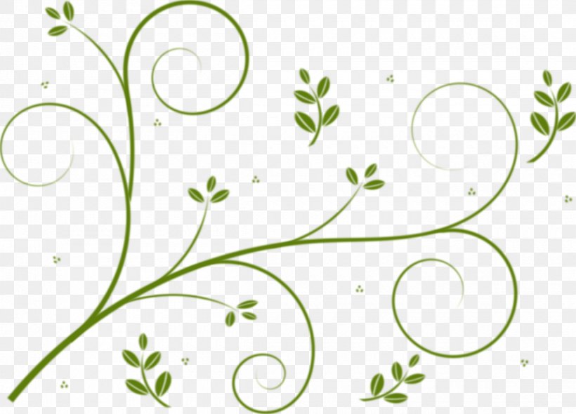 Borders And Frames Vine Flower Drawing Clip Art, PNG, 2400x1729px, Borders And Frames, Branch, Drawing, Flora, Floral Design Download Free
