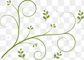 Green Floral - Borders And Frames Vine Flower Drawing Clip Art PNG