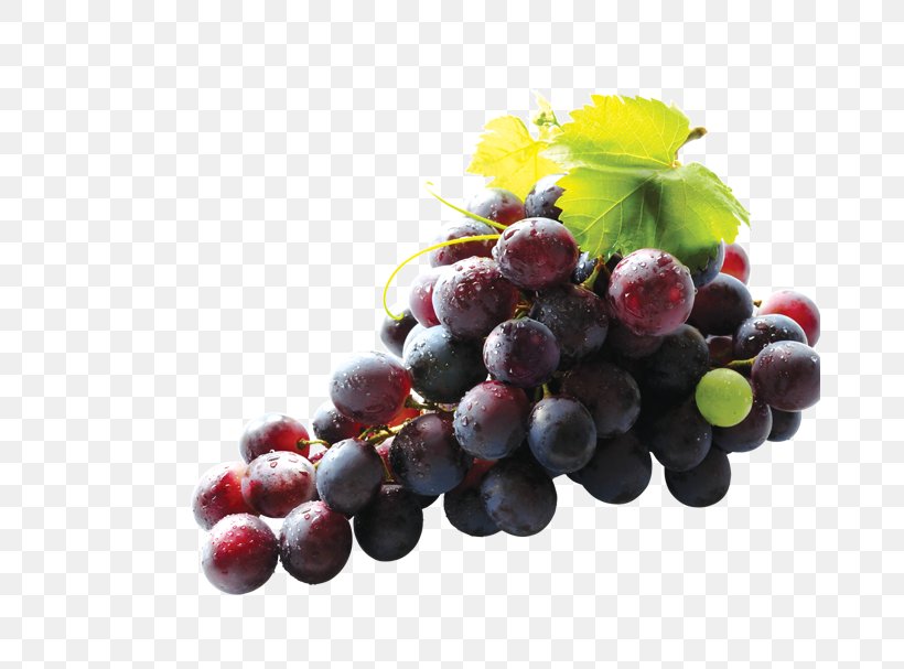 Common Grape Vine Ruby Roman Grape Seed Extract Nutrition, PNG, 669x607px, Common Grape Vine, Alternative Health Services, Antioxidant, Berry, Bilberry Download Free