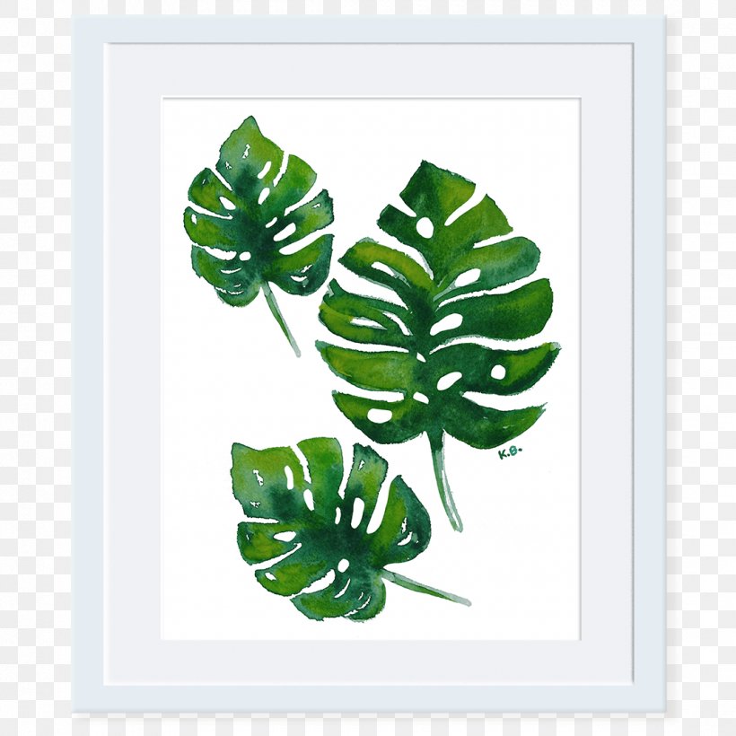 Swiss Cheese Plant Leaf Plants Watercolor Painting Window, PNG, 1080x1080px, Swiss Cheese Plant, Art, Botany, Curtain, Fern Download Free