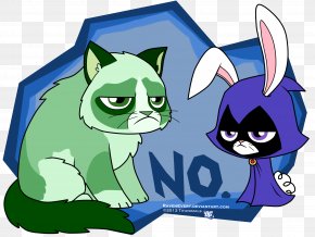 Beast Boy - Beast Boy Raven Cat Starfire Nightwing PNG