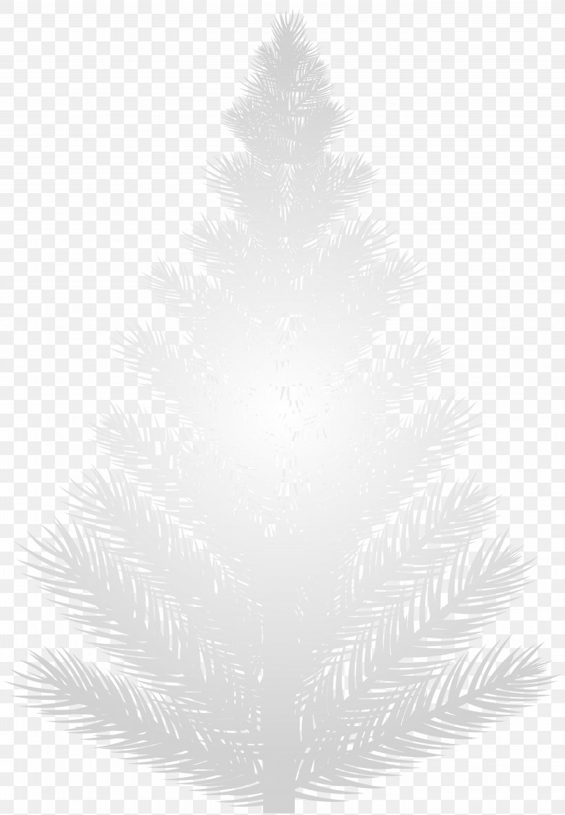 Black And White Pine Pattern, PNG, 5546x8000px, Black And White, Black, Branch, Family, Leaf Download Free
