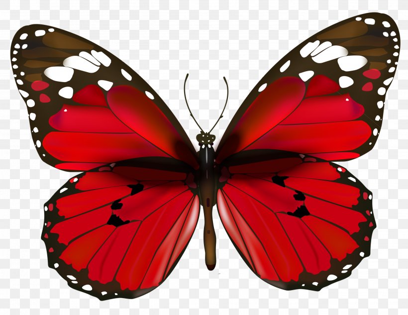 Butterfly Red Clip Art, PNG, 2704x2090px, Butterfly, Animal, Arthropod, Biological Life Cycle, Brush Footed Butterfly Download Free