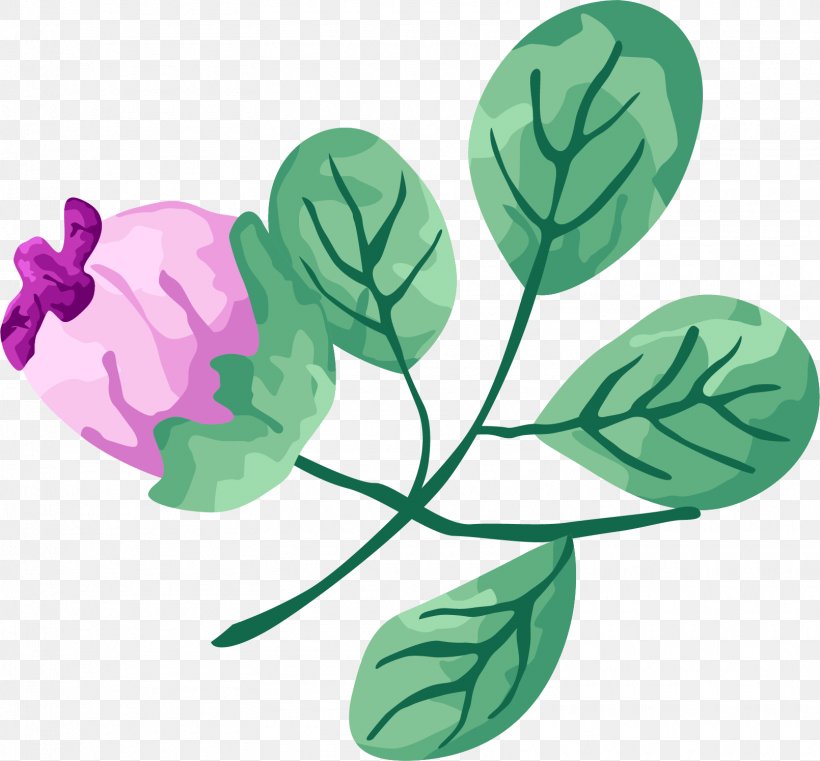 Clip Art, PNG, 1610x1496px, Google Images, Branch, Flora, Flower, Flowering Plant Download Free