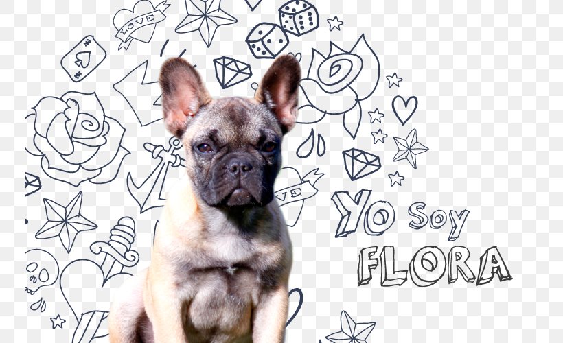 French Bulldog Toy Bulldog Puppy Dog Breed, PNG, 745x500px, French Bulldog, Ancient Dog Breeds, Breed, Bulldog, Carnivoran Download Free