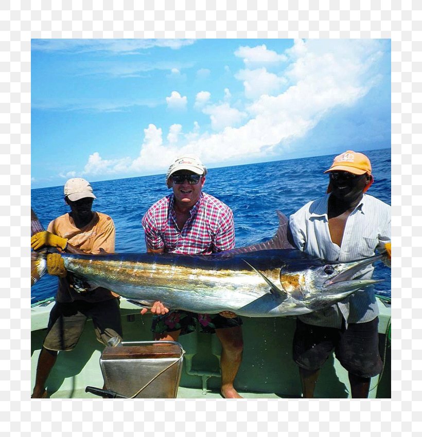 Funzi Island Ramisi Mangrove Fishing, PNG, 700x850px, Mangrove, Excursion, Fish, Fisherman, Fishing Download Free