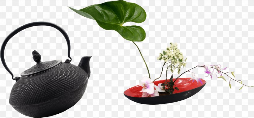 Kettle Flower Teapot, PNG, 2474x1154px, Kettle, Centrepiece, Creativity, Flower, Flowerpot Download Free