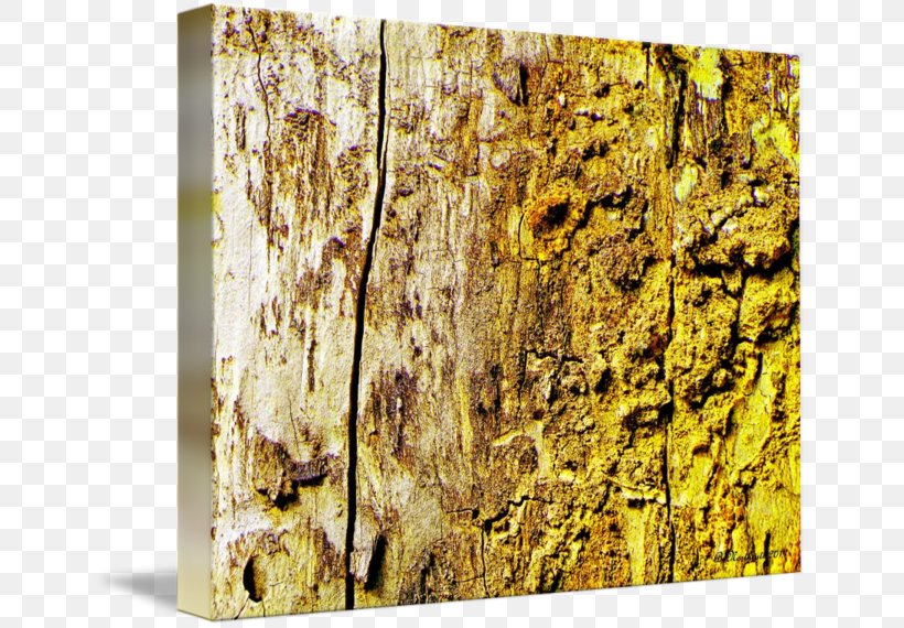 Wood /m/083vt, PNG, 650x570px, Wood, Rock, Tree, Trunk Download Free