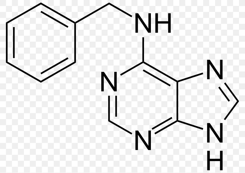 6-Benzylaminopurine Reagent Chemical Substance Chemistry, PNG, 800x581px, Reagent, Allopurinol, Area, Auxin, Black Download Free