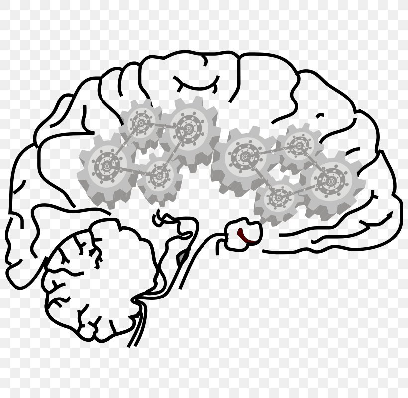 Brain Artificial Neural Network Clip Art, PNG, 800x800px, Watercolor, Cartoon, Flower, Frame, Heart Download Free