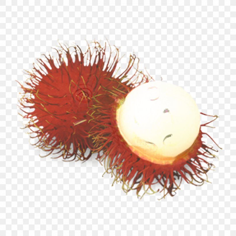 Pineapple Cartoon, PNG, 1400x1400px, Rambutan, Exotic Fruit, Food, Fruit, Fruit Vegetable Download Free