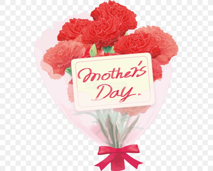 Carnation Mother's Day Cut Flowers Flower Bouquet, PNG, 555x660px, Carnation, Cut Flowers, Floral Design, Floristry, Flower Download Free