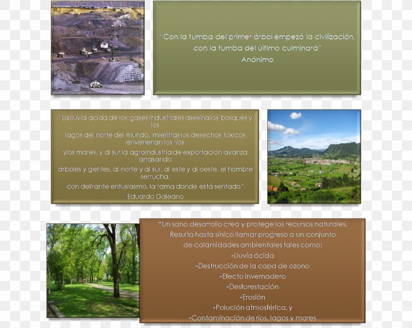 Cerrejón Landscape Brochure Colombia, PNG, 1384x1104px, Landscape, Advertising, Brand, Brochure, Colombia Download Free