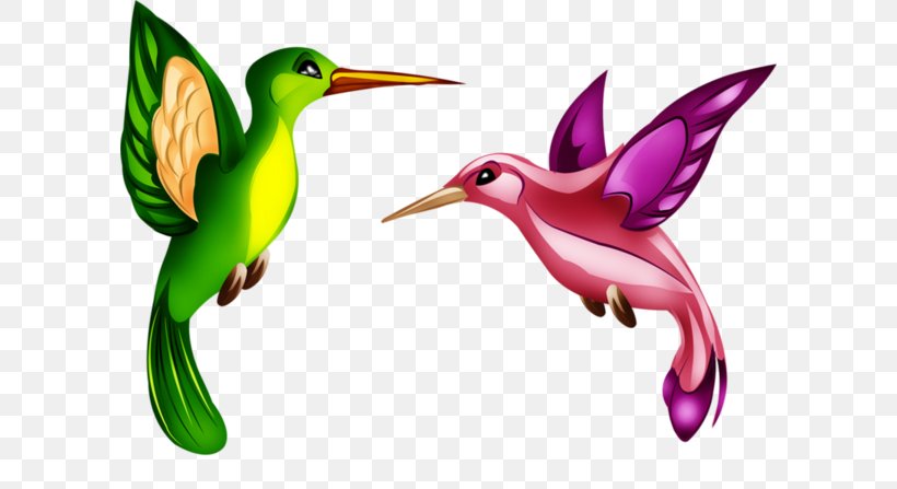 Clip Art Fauna Hummingbird M Beak, PNG, 600x447px, Fauna, Beak, Bird, Hummingbird, Hummingbird M Download Free
